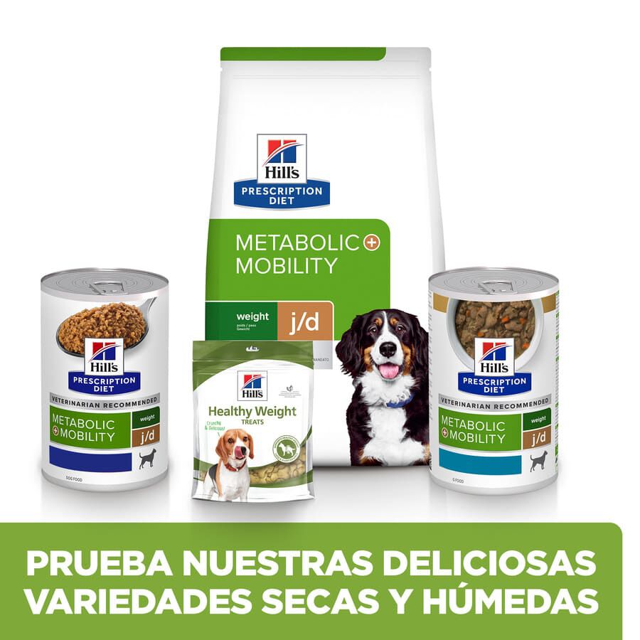 12 latas x 370 g Hill's Prescription Diet Canine j/d Metabolic + Mobility lata para perros &iexcl;Pack ahorro!, , large Imagen numero 6